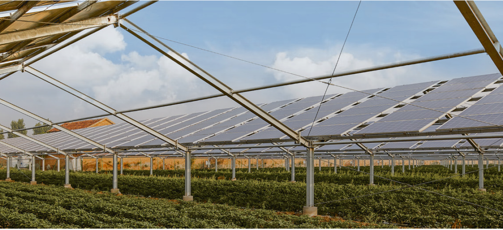 Photovoltaikanlage - Feldsonnen Portfolio II Puderbach